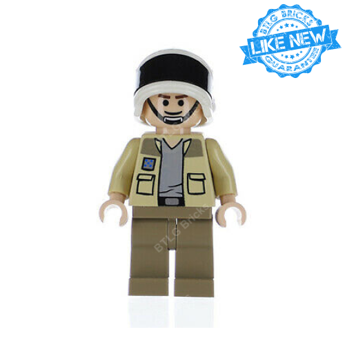 Captain Antilles sw0256 BTLG Bricks